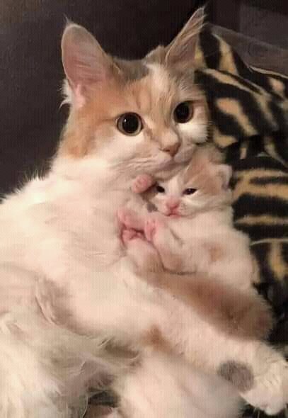 لاتثق في مودة احد حتى ترى مواقفه ايام الشدة ☺👌