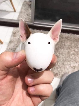 dinogodwhale's tweet image. 