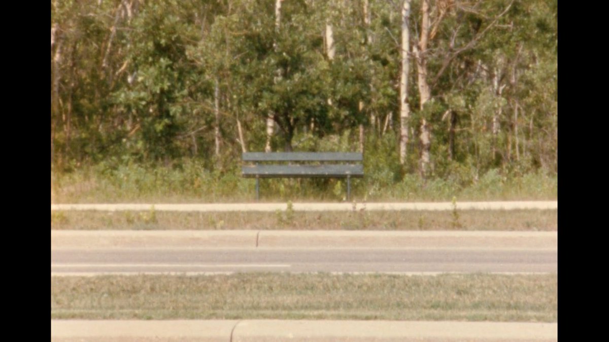 "I got loads of other ideas, uh, for other benches all over Winnipeg, uh, actually and, uh...uh, in fact, the one I mentioned on Roblin there, I don't even think it is the best one, quite frankly." 

(new short from Matthew Rankin up at @vucavu)

vucavu.com/en/ifco-en/mun…