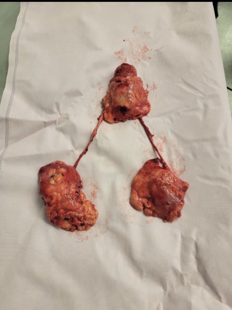 Akron Urology Residency Program tweet media