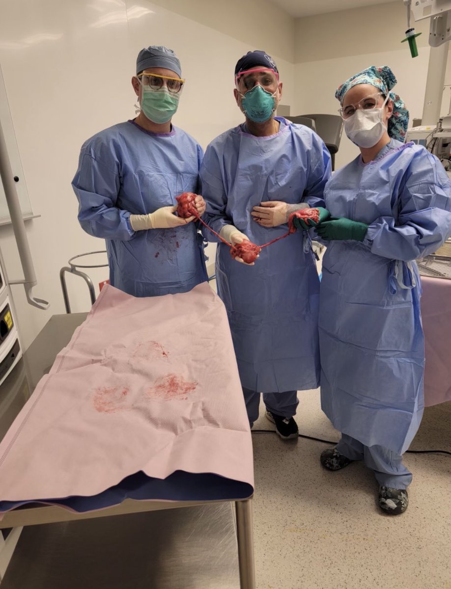 Akron Urology Residency Program tweet media