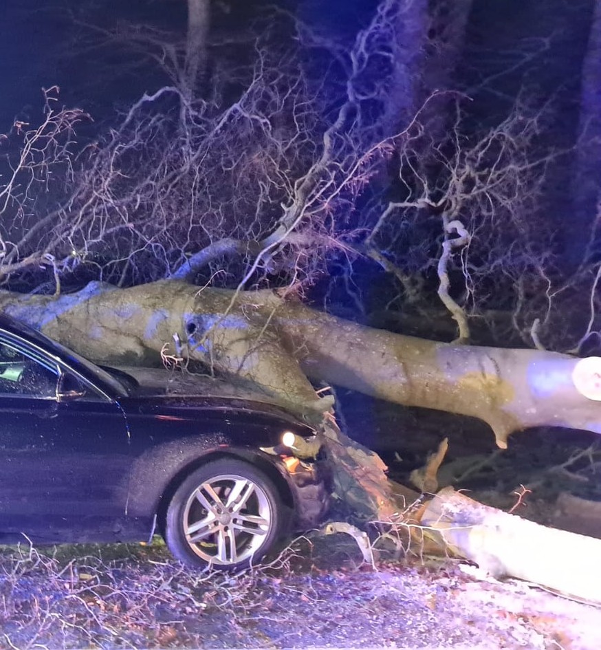 DubFireBrigade's tweet photo. #StormDudley 

Church Road, Mulhuddart is currently closed following a tree falling as a result of high winds. 

Firefighter/Advanced Paramedics from Blanchardstown fire station responded to the scene and crews from @Fingalcoco are working to remove the tree. 

@DCCTraffic https://t.co/bu7WDTVo3q