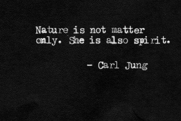 jamenta (@jamenta) on Twitter photo 