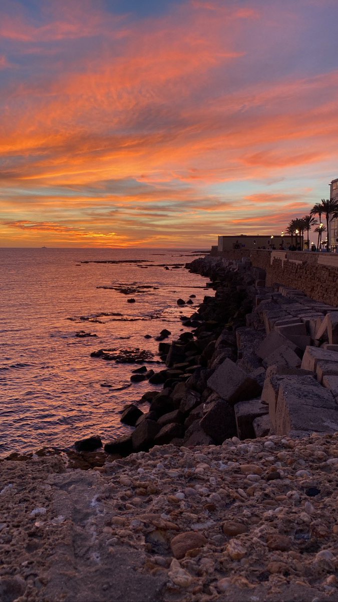 HelenaBM23's tweet photo. Hasta los dioses quisieran volver a nacer y ser de Cádiz para siempre, pero en febrero más 💘🧡 https://t.co/Hom4vesgG9
