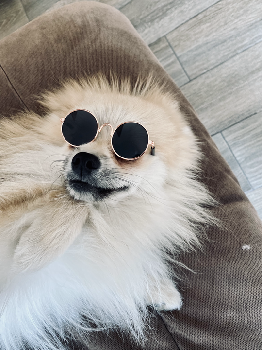 Fondeadora tweet media