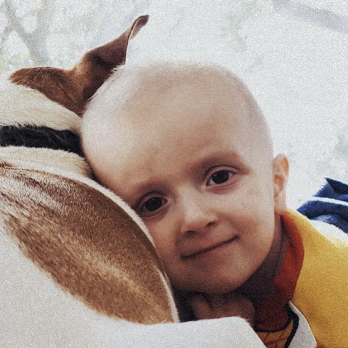 lessssi's tweet photo. donate here to help fight childhood cancer with @EclipsePSU &amp; @THON: https://t.co/jAheAZiJdd https://t.co/RpdESdrLXM