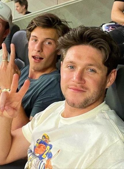 thinkerarishawn's tweet photo. happy valentines day to ariana grande and dalton gomez, shawn mendes and niall horan. https://t.co/MPRHmqz8P4