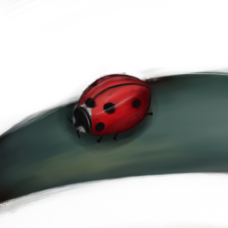 CayCreates's tweet image. Lucky ladybug, painty style. 

#kidlit #kidlitart #amwriting #amquerying #twitterart #cuteanimals #illustrator #digitalillustration #procreate #childrensbook #childrensbookart #gardenlove #gardenhelper #ladybug #luckyladybug #red

cayleencreates.com/2022/02/16/boo…