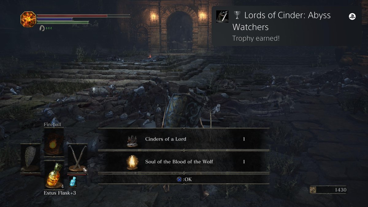 Arva the Otter tweet media