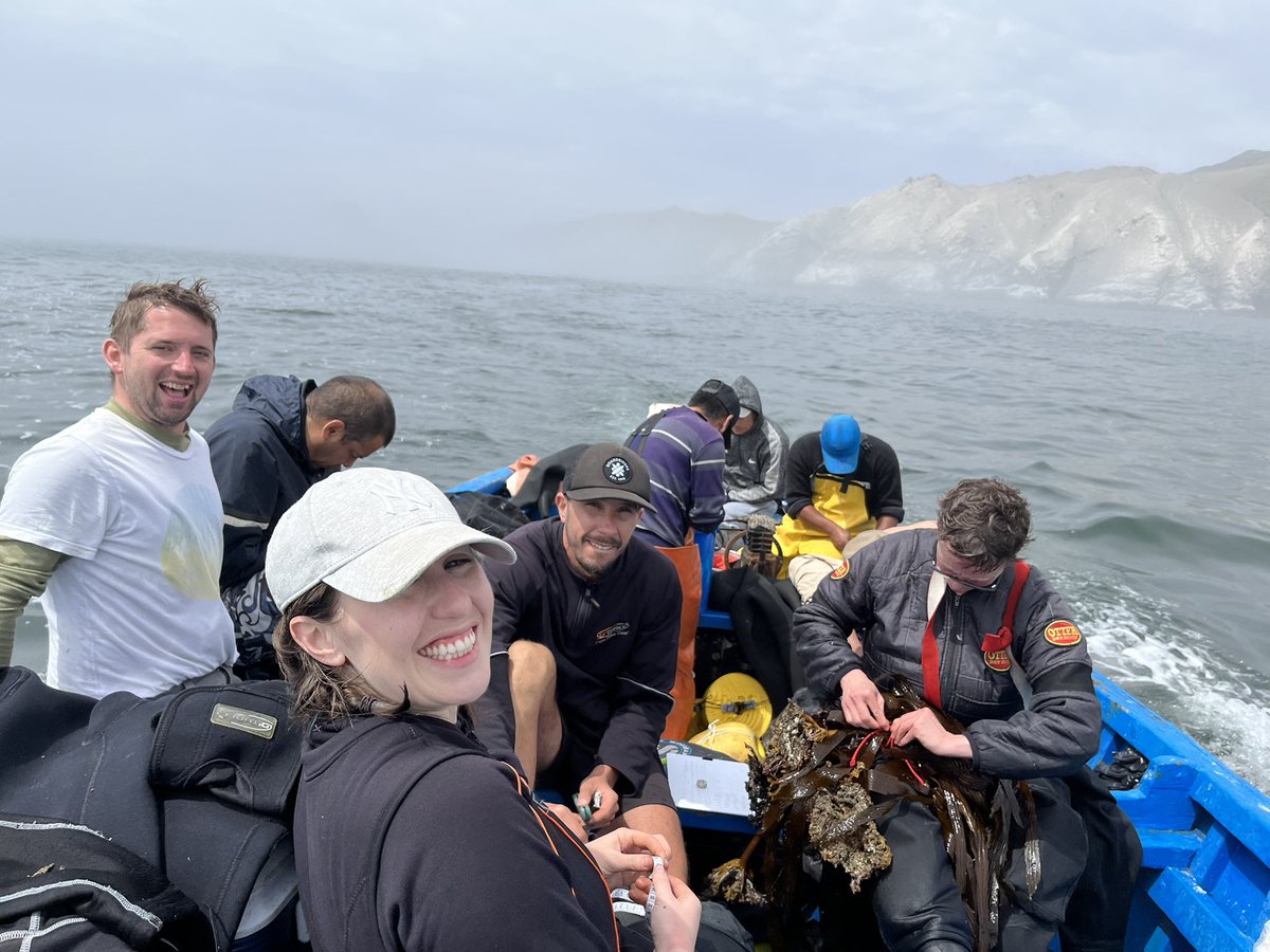 DanSmale1's tweet photo. Day 4 @KELPER_Project field trip in Peru. Two new sites, lots of Eisenia forests but also common urchin barrens. Samples collected and processed in our pop-up weed lab 🤣🤣🤣 🇵🇪 ☀️ 🌊 🌱 🧬 🥼 https://t.co/qopVNrLZI9