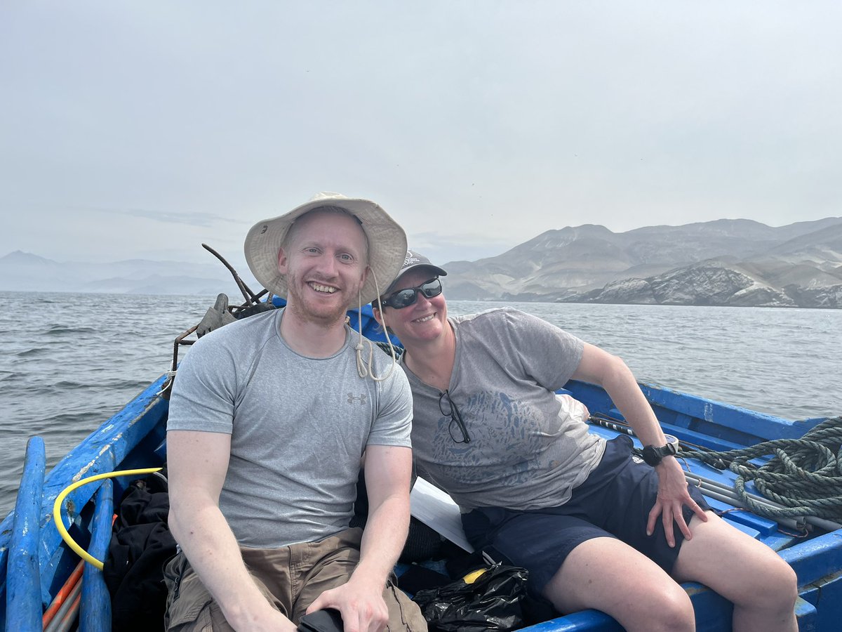 DanSmale1's tweet photo. Day 4 @KELPER_Project field trip in Peru. Two new sites, lots of Eisenia forests but also common urchin barrens. Samples collected and processed in our pop-up weed lab 🤣🤣🤣 🇵🇪 ☀️ 🌊 🌱 🧬 🥼 https://t.co/qopVNrLZI9