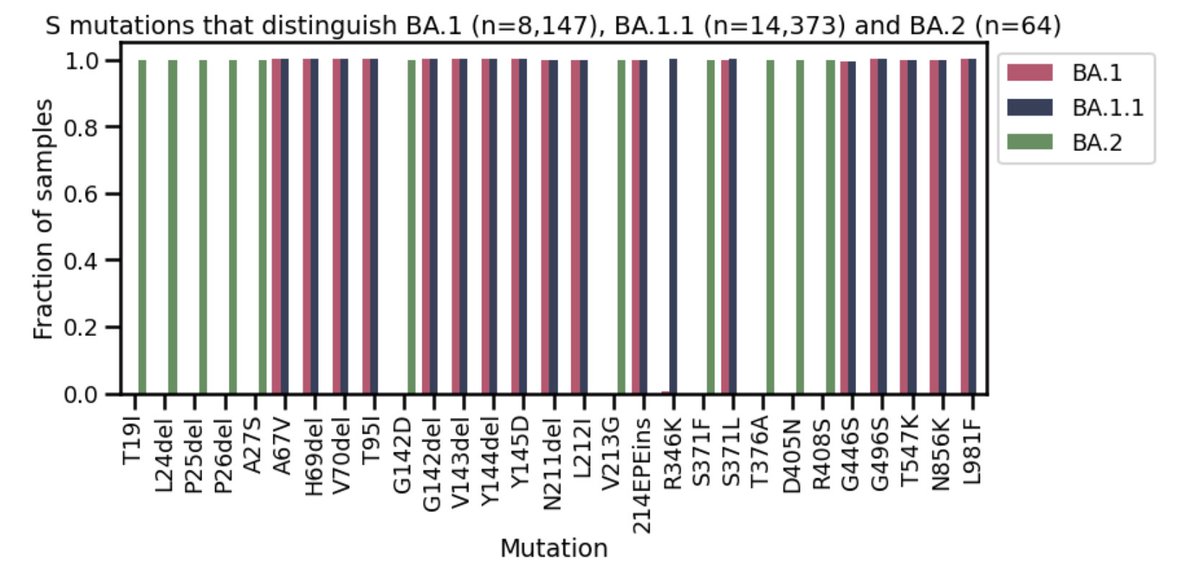 shishi luo tweet media