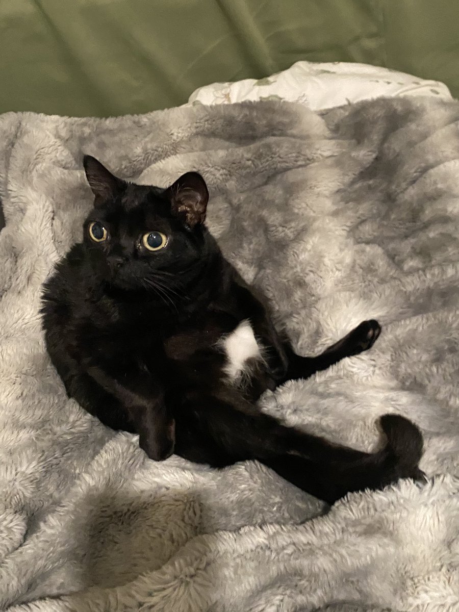 she’s just a little guy who likes to sit back