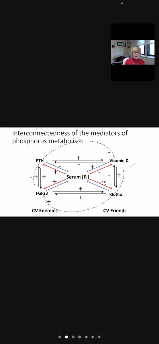 Love having the amazing <a href="/EleanorLederer/">Eleanor Lederer</a> giving <a href="/BCMKidneyHealth/">BCM Nephrology</a> grand rounds today.