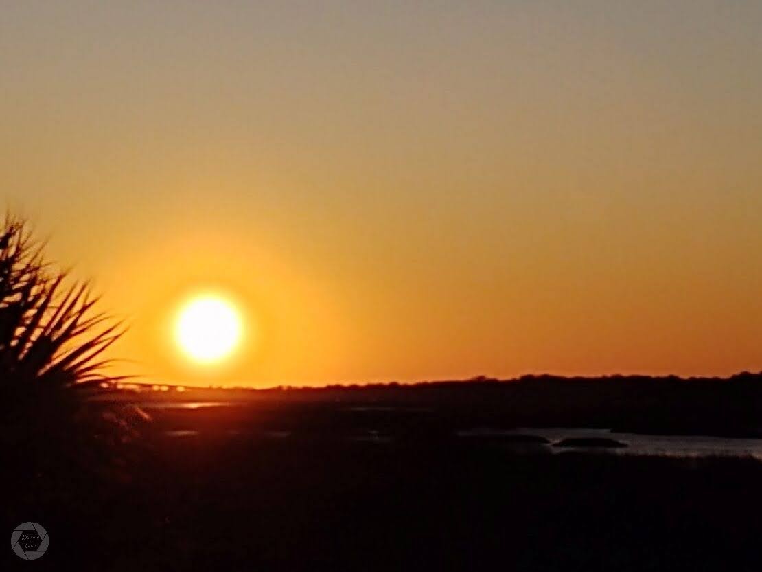 klynns_lens's tweet photo. #Sunset #ShelterCove #HiltonHeadIslandSC #Feb2020 https://t.co/YJEyZ9pr4h