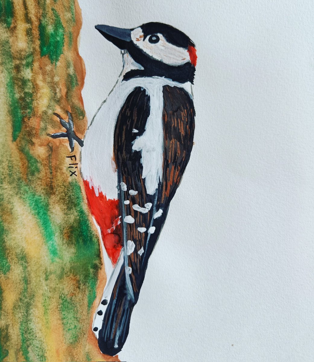 Birbfest 20: Great spotted woodpecker

instagram.com/p/CaBBu7PI2yy/…
#birds #Woodpecker #watercolor
