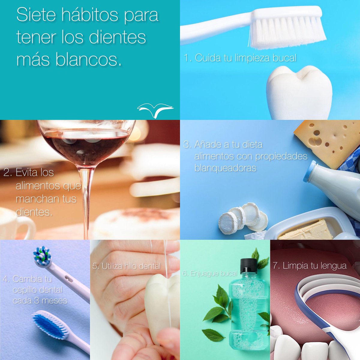 Sigue estos hábitos para mantener tu salud bucal 🦷✨

#Blanqueamiento #Madrid #Spain #Dientes #Odontologo #Dentista