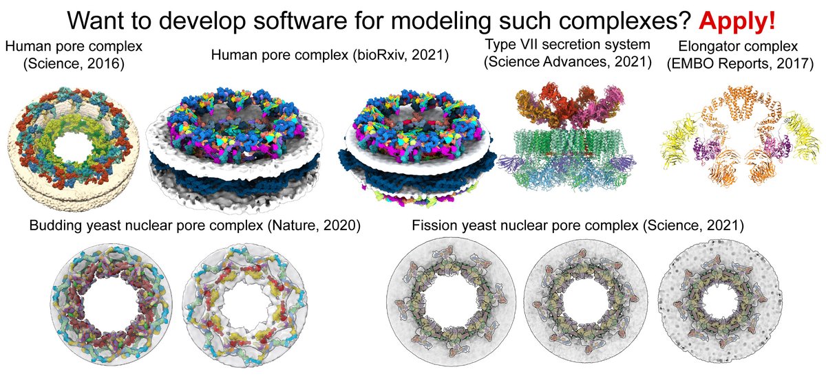 We are looking for a Senior Scientific Software Engineer to develop new software tools for modeling large molecular complexes. Perfect balance between academic research and software development. #python #programming, #AlphaFold, #cryoEM. Apply here: 
embl.org/jobs/position/…