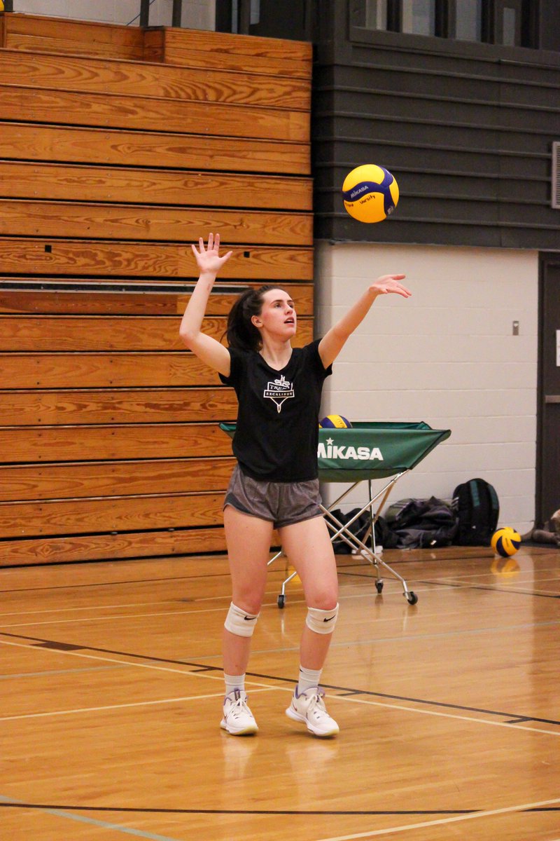 Trent Excalibur tweet media