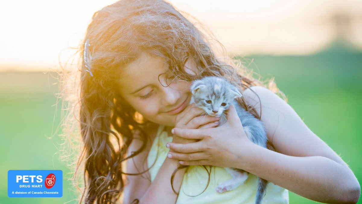 Cats are the most affectionate to their owners and people they trust. 🐈 
 
These independent animals can help you calm your nervous system and improve your cardiovascular health. ❤️ 
 
Read more on the benefits of owning a cat: bit.ly/3qvLFyT 
 
#PetsDrugMart #PDM