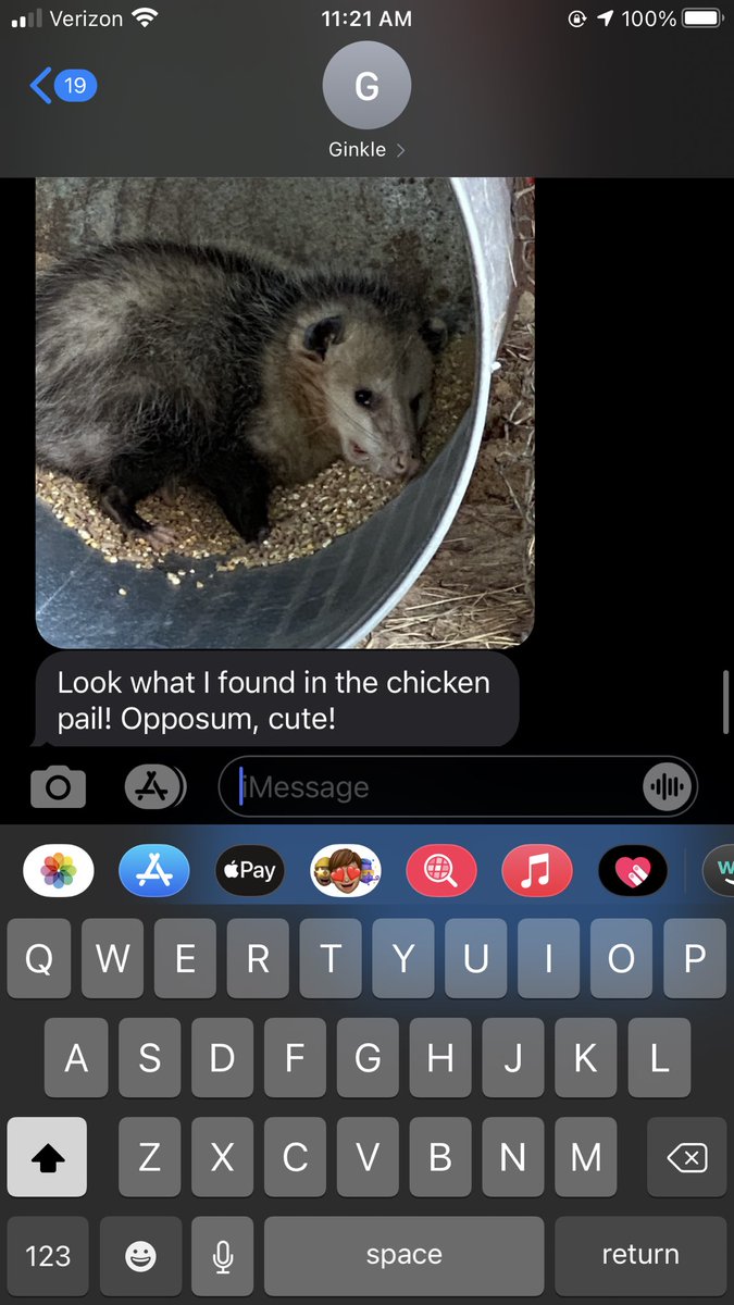 kdadaire's tweet photo. we love Ginkle content https://t.co/QoXZKiFYB9