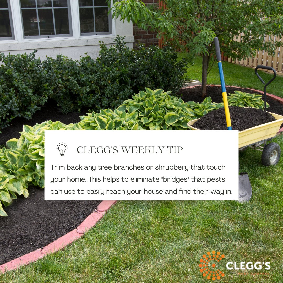 Clegg's mid-week tip! Like, save and share with a friend  😀