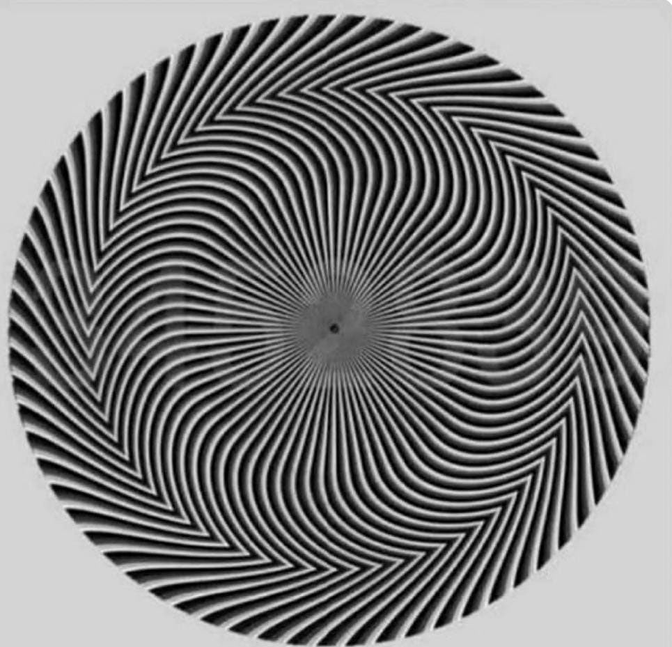 What number can you see??