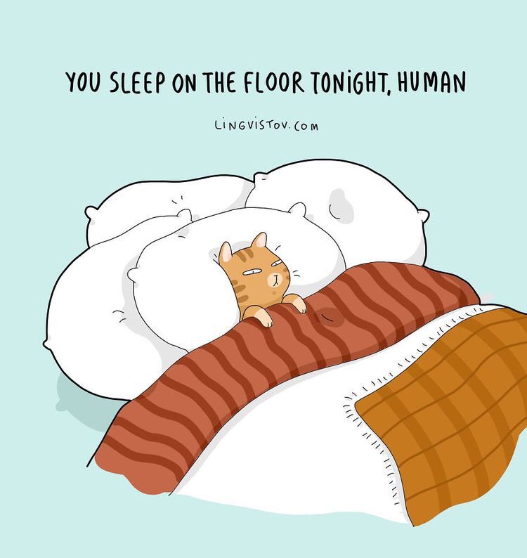 Спать юмор. Спать картинки. Сейчас засыпаю. Я спать картинки. Сейчас усну.