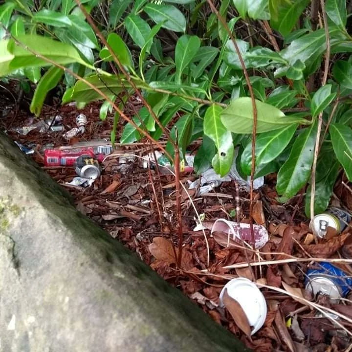 Litterwatch1's tweet photo. After noticing this mess yesterday, atpumd St Lukes graveyard, in Cradley. Malc popped back today before the wind got too strong. 
Malc managed to remove 3 full bags. A great job #thankyou #adoptastreet #volunteersmakingadifference @SercoESUK @sandwellcouncil https://t.co/OxqpaGuzsN