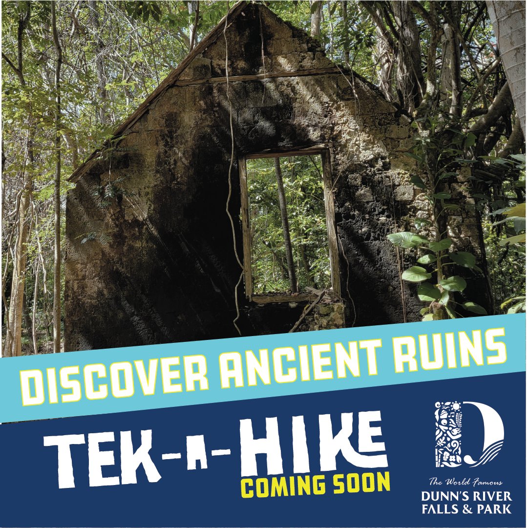 UDCJamaica's tweet photo. Explore the Belmont Great House Ruins and learn about its cultural history. Tek-A-Hike, coming soon to the World Famous Dunn’s River Falls and Park. Stay tuned for details on how to reserve your spot.
#tekahike #dunnsriverhike #dunnsriver #UDCJamaica #adventure #livesomelife https://t.co/ZKZky3glJ1