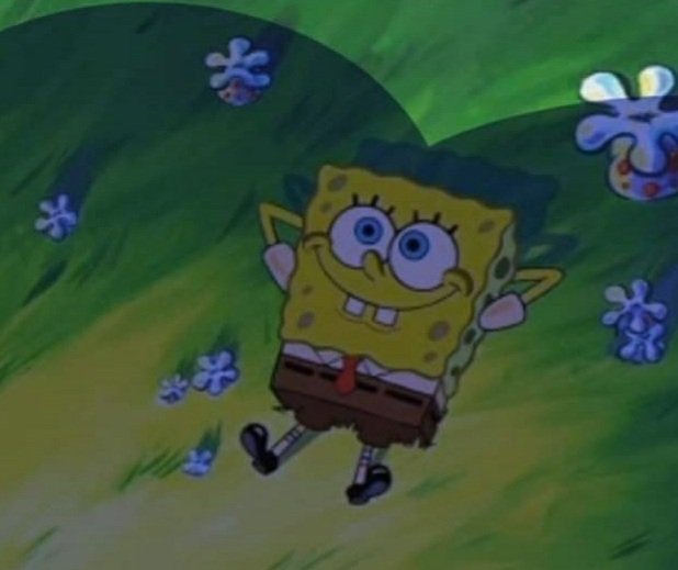 Venus Cult (@venuscvlt) on Twitter photo 