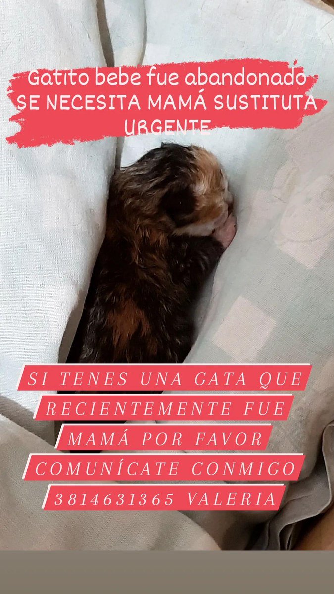 ValeCali1's tweet photo. Por favor compartir🙏🥺 https://t.co/x7Llro2Eie