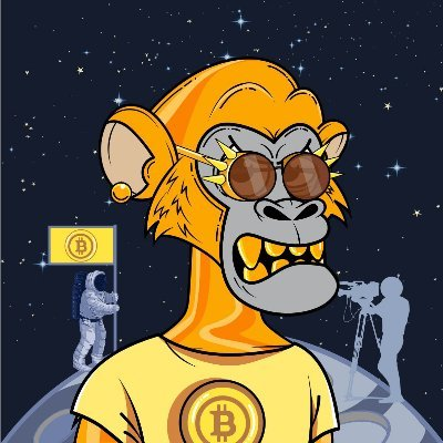 thenftbees's tweet photo. Which Apes in Space NFT would you choose? Left or Right? #NFT #crypto #digitalart https://t.co/v7oq2UD5Rt