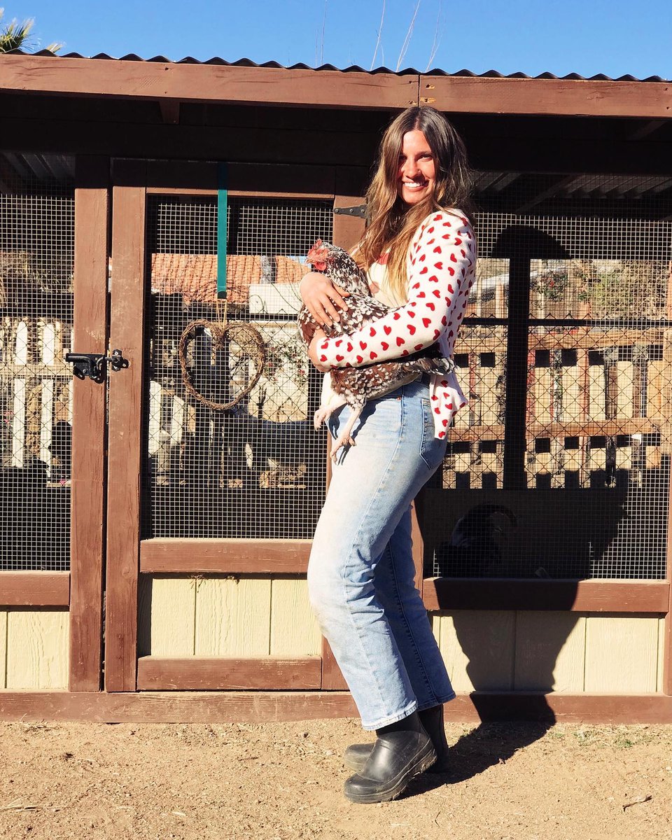 WesternChiefKid's tweet image. We sure do love these chicks! 🐤⁠
⁠
@hellotinyfarm in our Solid Neoprene #winterboot that keeps her feet warm and cozy while tending to her chickens on her California #TinyFarm ⁠
⁠
l8r.it/daZl