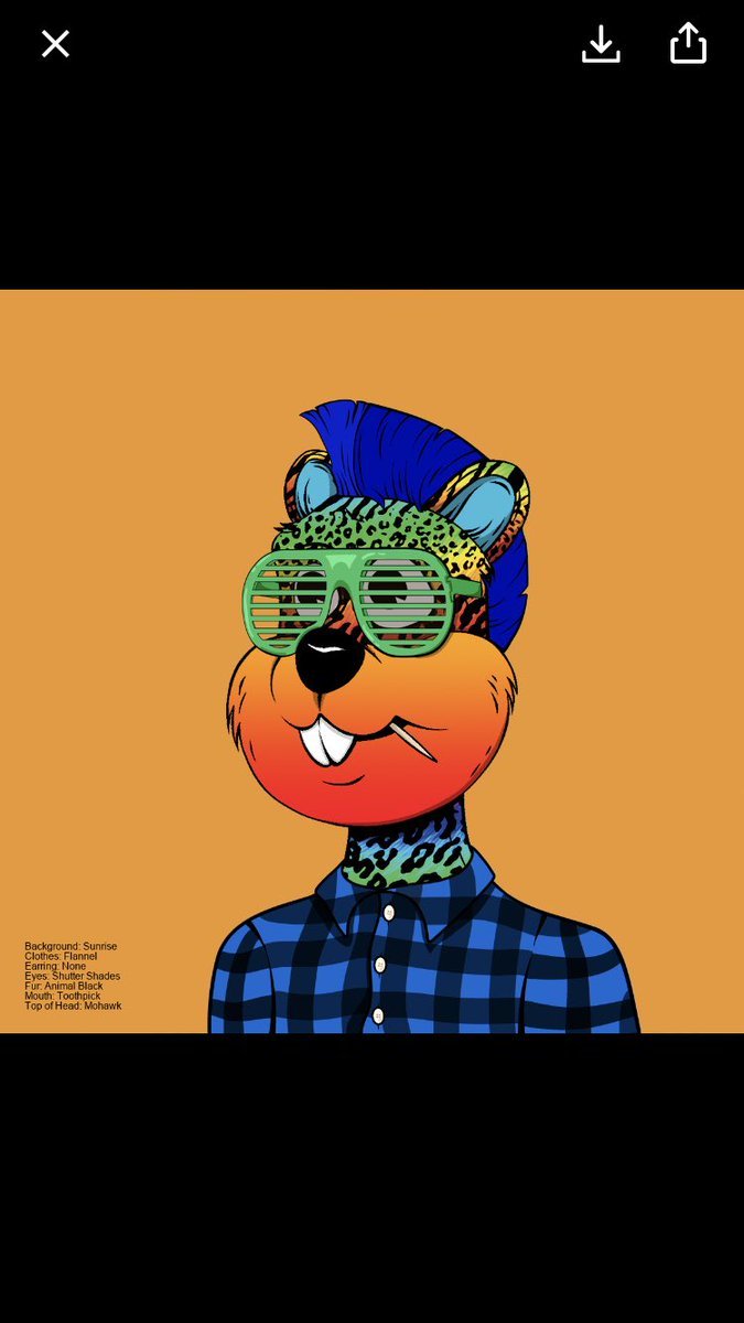 happylamagus13's tweet photo. #TribeQuokka artists blow my mind every-time we are treated by Dr Dick Doofus with unveil. Jump into the hottest NFT project in 2022. Mint date 4/1/22. https://t.co/qX4fUuVo36