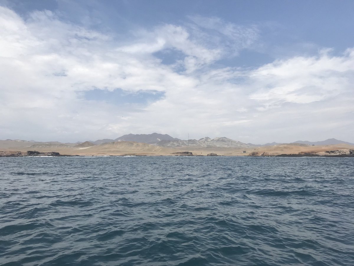 Pippa Moore (@pippa_j_moore) on Twitter photo Day 5 β¦<a href="/KELPER_Project/">KELPER Project</a>β© fieldwork more kelp counted and measured with samples for microbiome and genetics collected. A bit scorchio for those recently landed from the UK, while our Peru colleagues are more than comfortable β¦<a href="/NERCscience/">Natural Environment Research Council</a>β© β¦<a href="/NewtonFund/">Newton Fund</a>β© π΅πͺ π π± Day 5 β¦<a href="/KELPER_Project/">KELPER Project</a>β© fieldwork more kelp counted and measured with samples for microbiome and genetics collected. A bit scorchio for those recently landed from the UK, while our Peru colleagues are more than comfortable β¦<a href="/NERCscience/">Natural Environment Research Council</a>β© β¦<a href="/NewtonFund/">Newton Fund</a>β© π΅πͺ π π±