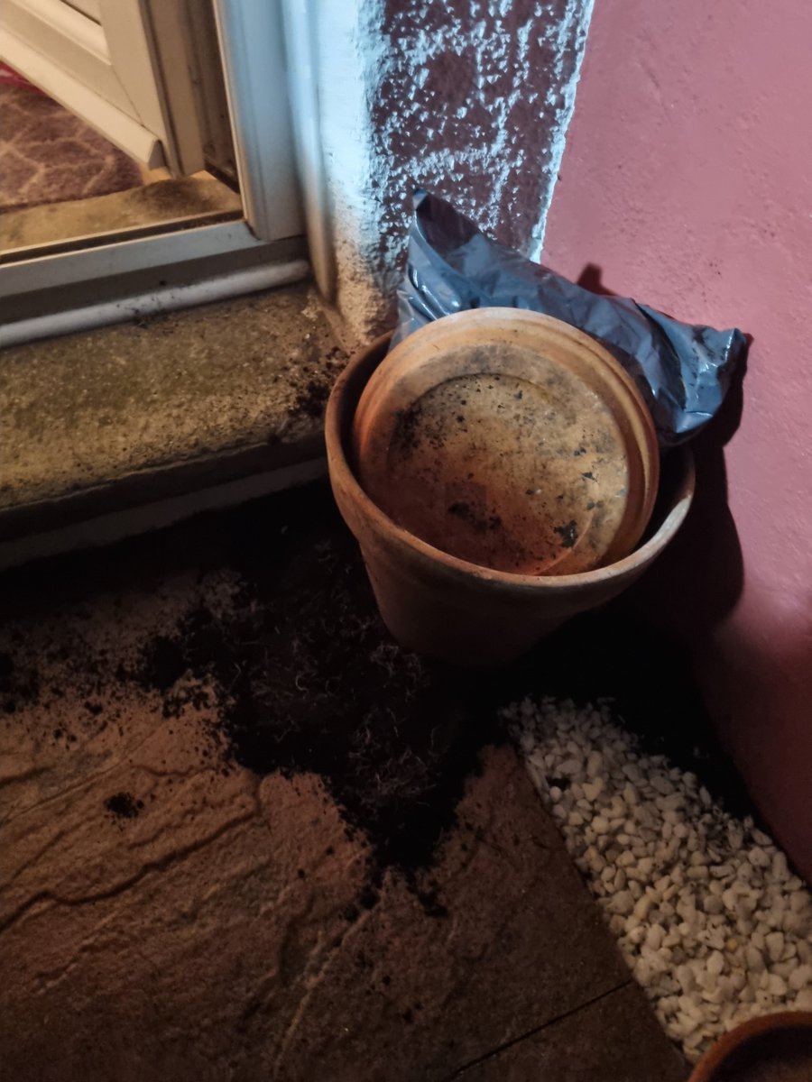 SiobhanRedfern's tweet photo. Thank you @Hermesparcels for tipping out my plants all over my new gravel, just to make room for a parcel that could have gone somewhere else! After a 13 hour shift in a hospital, that's exactly what I wanted to get home to! I spent ages making my house look nice, I am so upset! https://t.co/CZNJMpcrsY