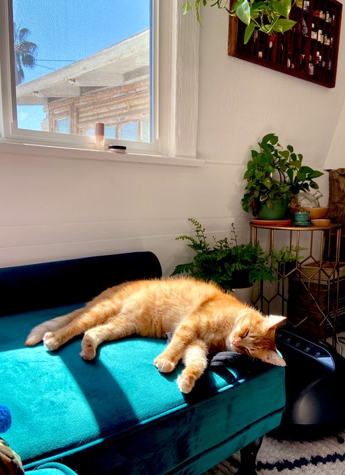 ✨🍊✨ https://t.co/EWxMsR4CUl<a href="/tag/mvsales"class="tags"><span>#mvsales</span></a>