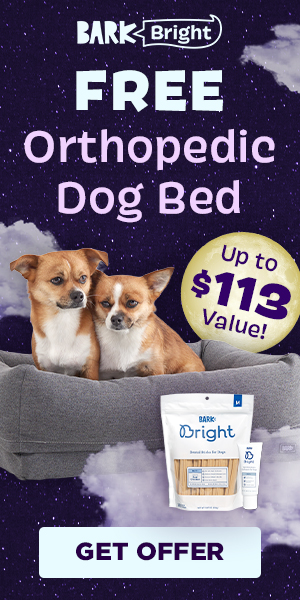 AilsaForshaw's tweet photo. Get a FREE Orthopedic Bed for your pup
(Up to $113 Value) when you
Sign up for a Bright 6 month plan!
https://t.co/DB84Do3fL4
Until 2/28 #Bright @barkbox #ad
#DoggyDental #DentalDogs
Clean Teeth, Fresh Breath, AND a New Bed, says Dog!
Pillow Bed🐶🪥😘
https://t.co/TbRTCIkpGh https://t.co/UlfQKELyxU