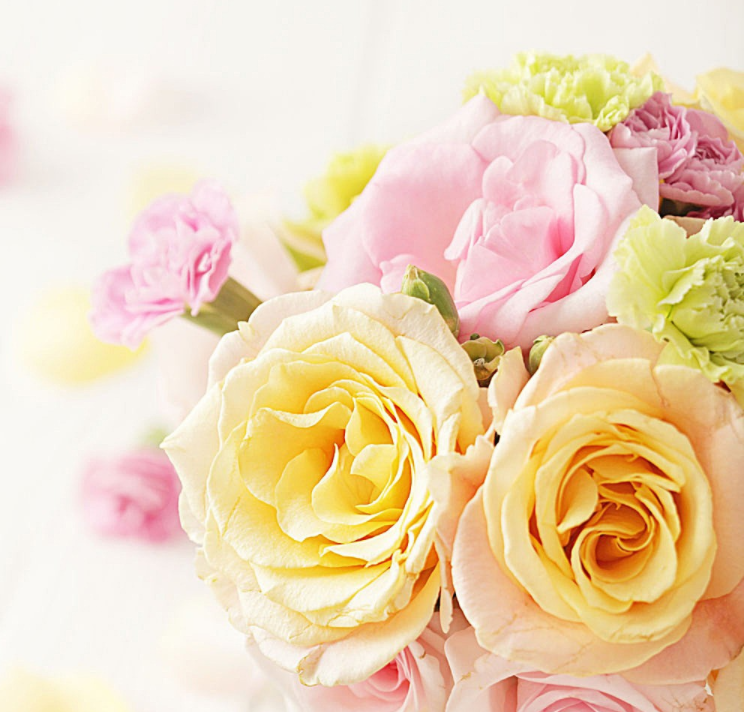 PabloOrtgz's tweet photo. Life is the flower for which love is the honey. https://t.co/qMlBzcBU1Z