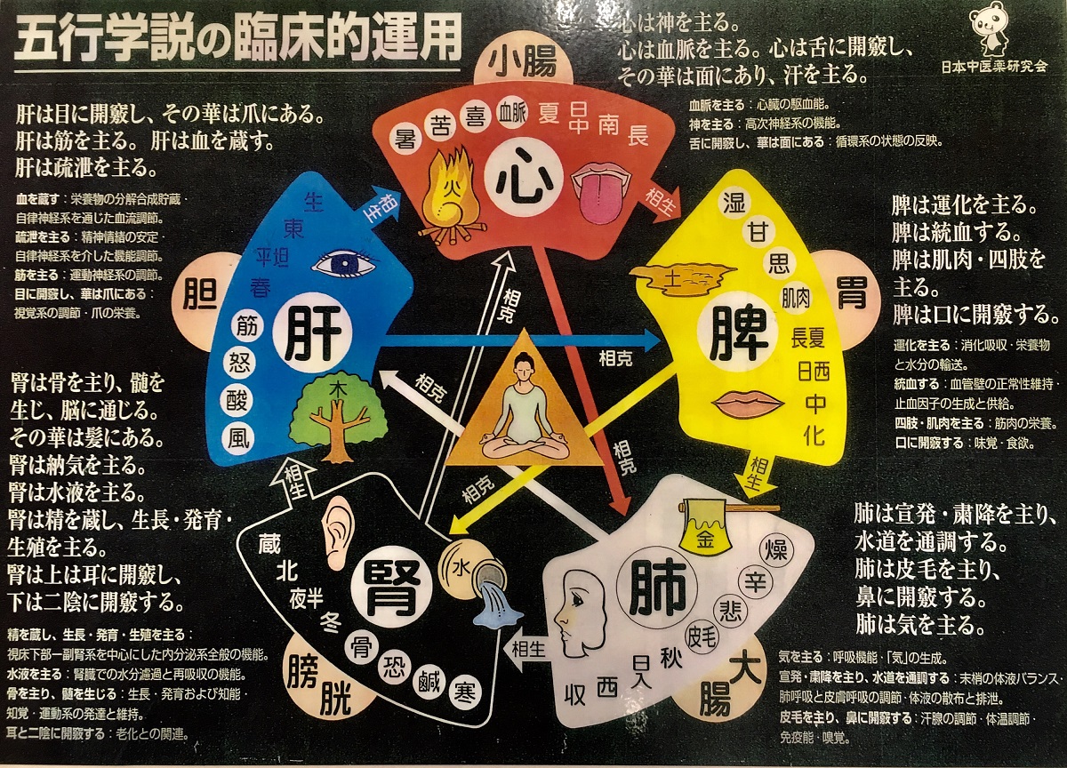 中医学の大事な考え方に、「五行説」があります。 自然を作り出す”木火