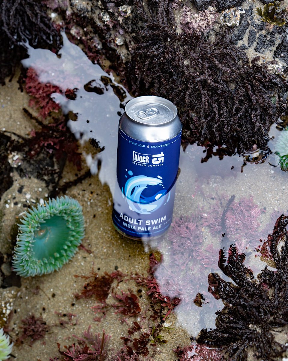 We partnered with <a href="/planktownbrew/">Plank Town Brewing</a> to bring you Adult Swim IPA as a nod to the past.

This is a CLASSIC and for obvious reasons... for the grown-ups. We packed this IPA with Amarillo and a heavy dose of "C" hops: Columbus...

instagram.com/p/CZ-r8BepYVJ/

#oldschoolipa #block15brewing