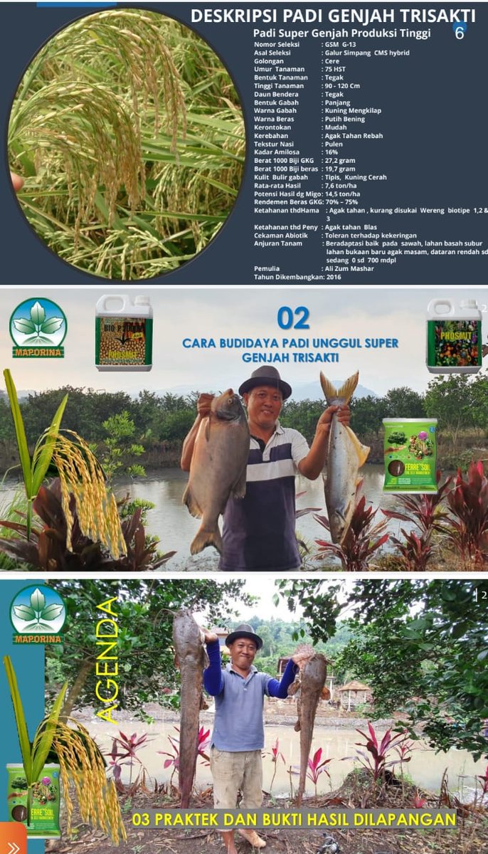 Alizummashar's tweet photo. Pernah Berbuat dan Terus Membuat sesuatu yang Baru...Hidup itu dinamis dan diniatkan mau jadi apa https://t.co/X7bG97zToD