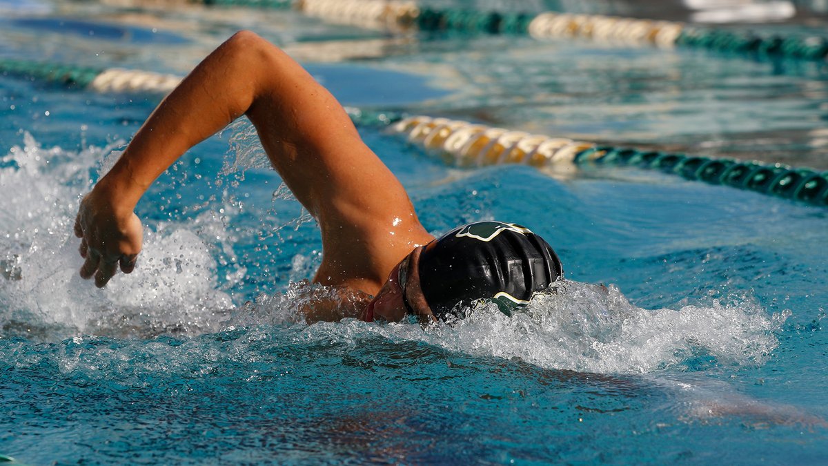 saintleoswim's tweet photo. Men’s Swimming Captures Bronze in 800 Free Relay at SSC Championships 
📰https://t.co/VfwEY6Mi0f

#LIONS🔒
#SSCSwim https://t.co/u60Nyi8jNX