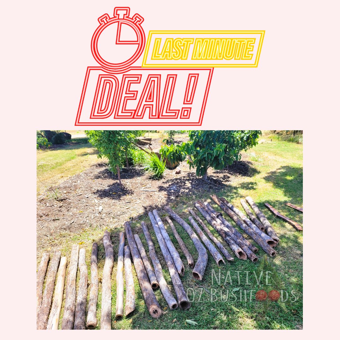 native_oz's tweet photo. WHEN THE BOSS IS AWAY, THE OFFICE GIVES DISCOUNTS🤭
Our first Didgeridoo Making Masterclass is THIS SATURDAY and there is only a few spots left, here is 10% OFF - valid for 24 hours only! The didge's are cut and ready to make yours 👇🏾
USE CODE - DEE 
https://t.co/pEeg7tMBB6 https://t.co/ICEXygU4fJ