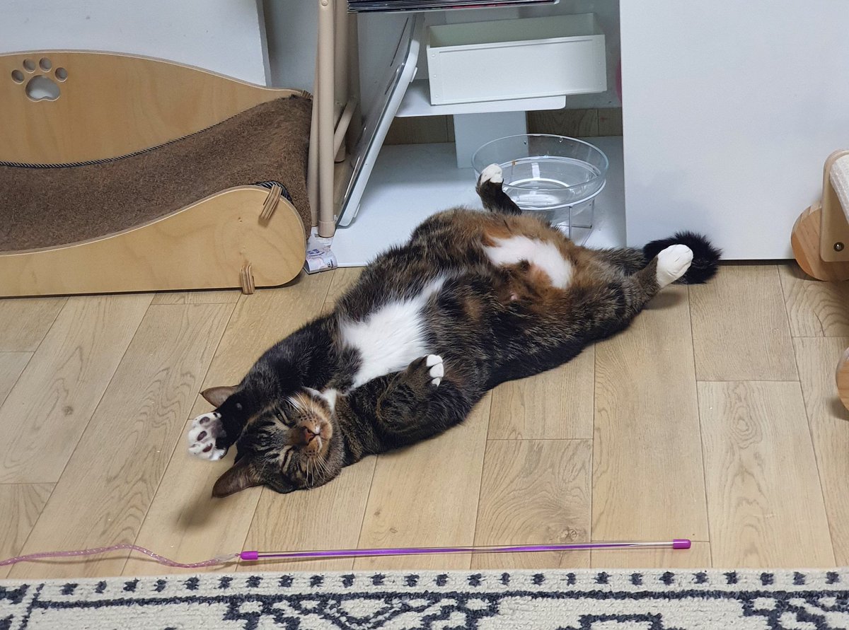 도대체 왜이러케.주무시는거에여