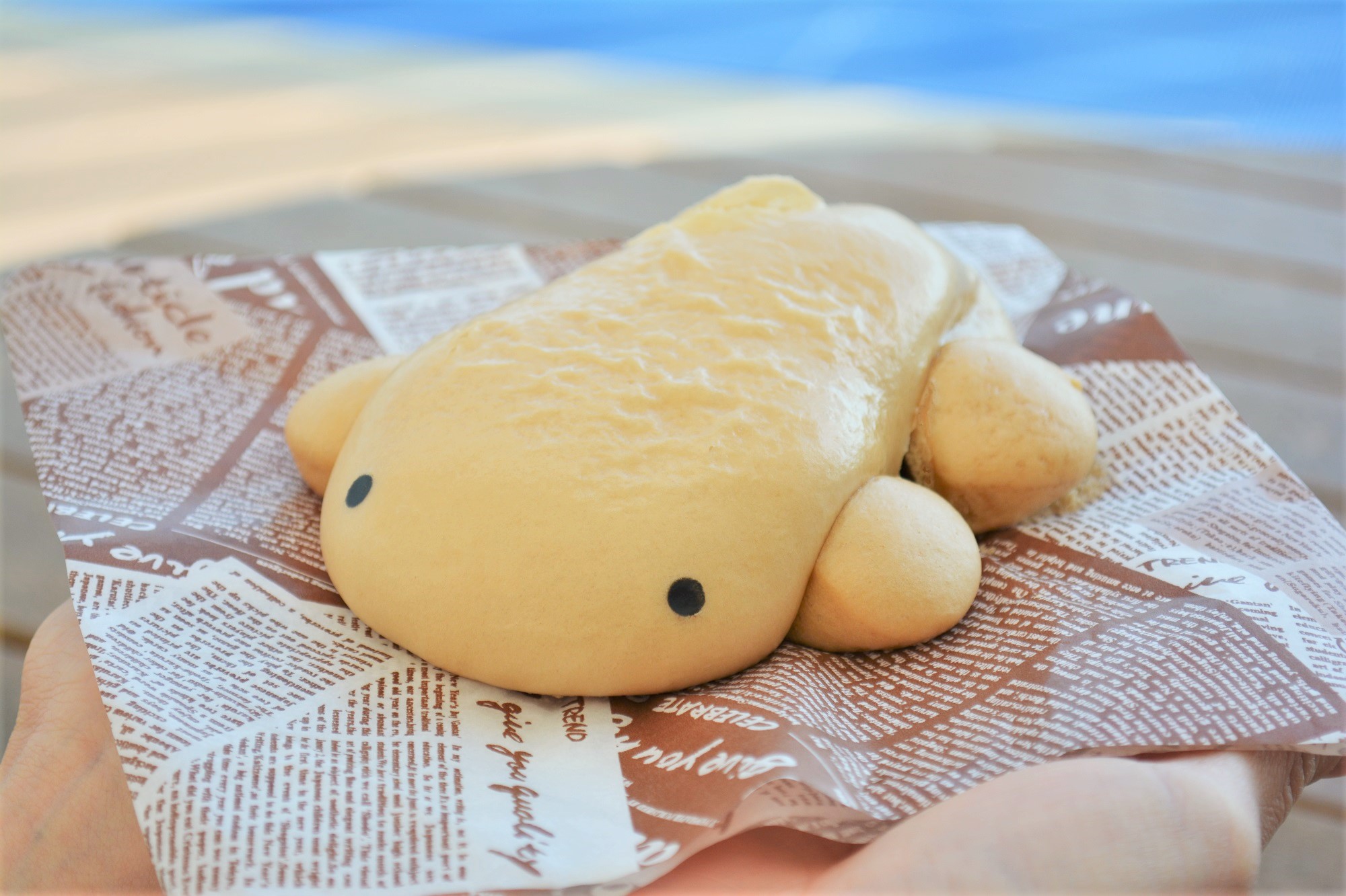 京都水族館 on Twitter: "\つぶらな瞳がかわいい!👀／ 「オオサンショウウオ肉まん」が新登場! 肉のジューシーさとタケノコの ... - FLw8LcSUcAIr8Fi