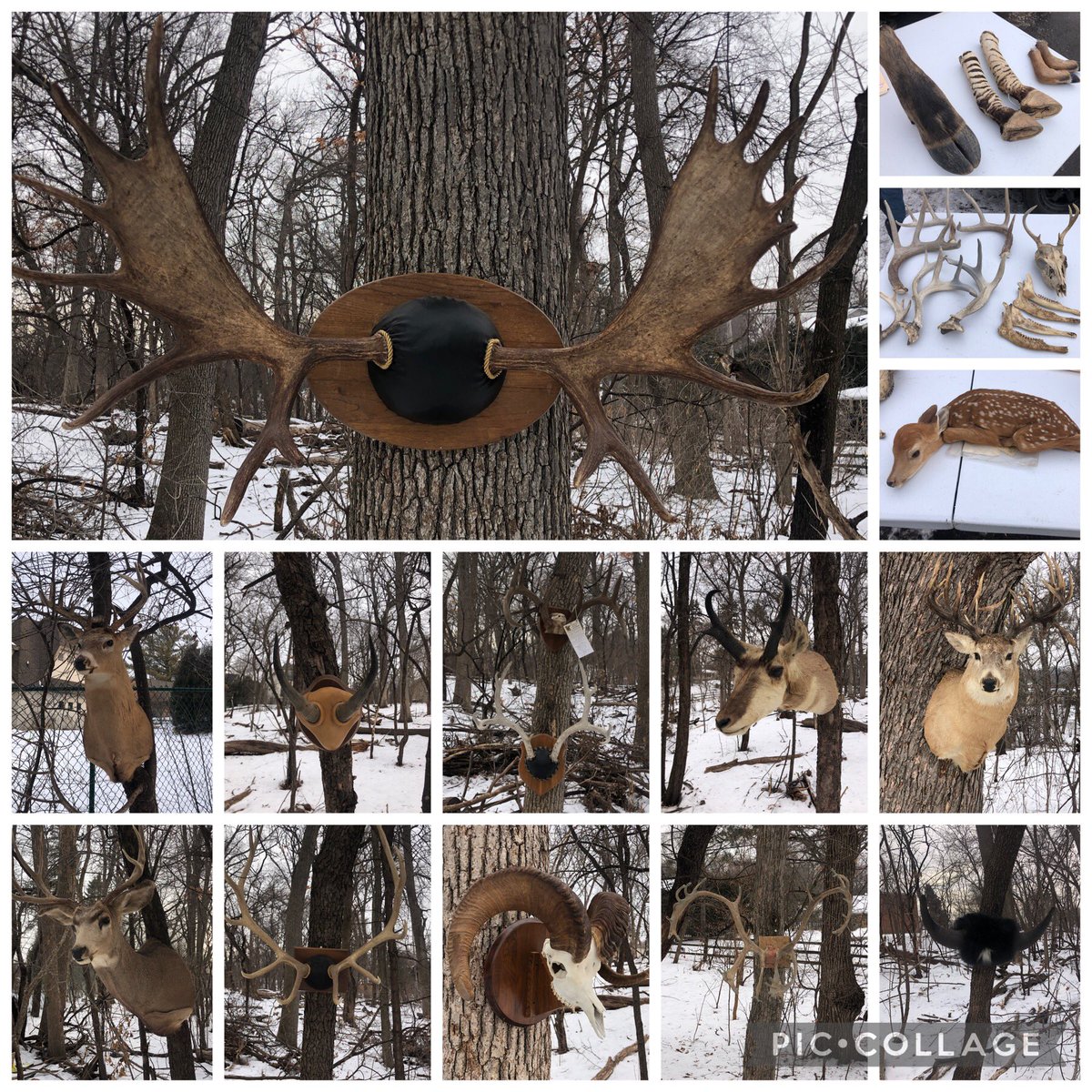 heyerlearning's tweet photo. #WildernessWednesday
Mr. Ron joined us today to present #Horns, #Hooves, and #Antlers. 
#AuthenticLearning #OutdoorLearning #Noticings #Wonderings #AskQuestions #CriticalThinking https://t.co/4ohAcr1ctw