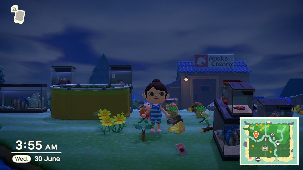 bellas_crossing's tweet photo. #AnimalCrossing #ACNH #NintendoSwitch https://t.co/B3eIwCDN9F