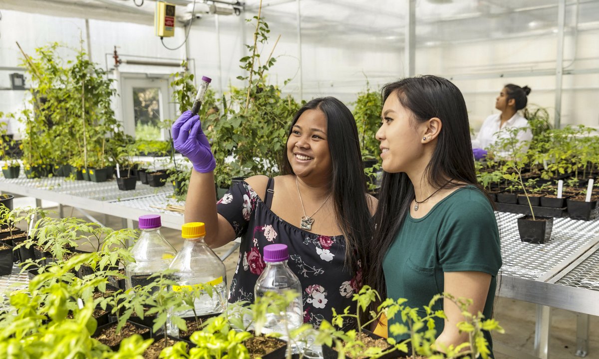 go2psu's tweet image. Being the most prepared for college is something people say ALL the time, but what can you actually do to be ready? Check the link in bio to find out how you can earn college credit before getting to PSU 🤓✏️